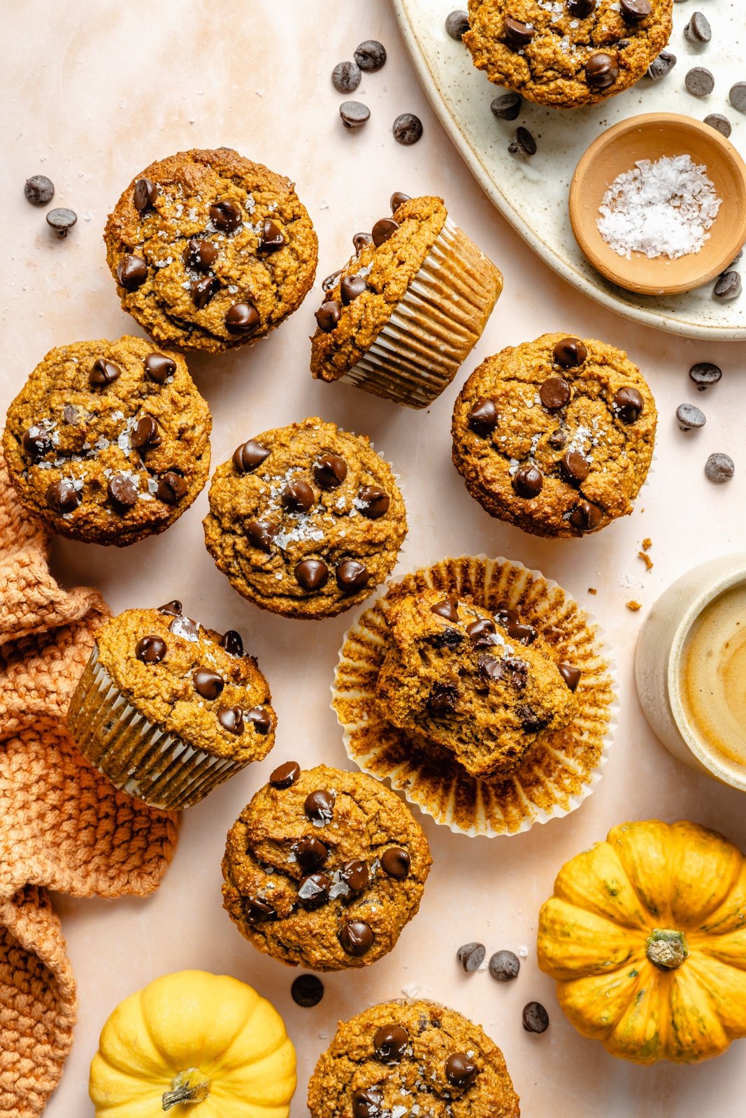 healthy pumpkin protein muffins with chocolate chips