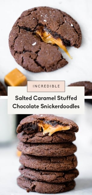 collage of chocolate snickerdoodles